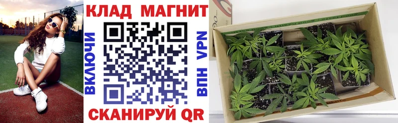 Сколько стоит Геленджик БУТИРАТ  Амфетамин  Кокаин  ГАШИШ  А ПВП 